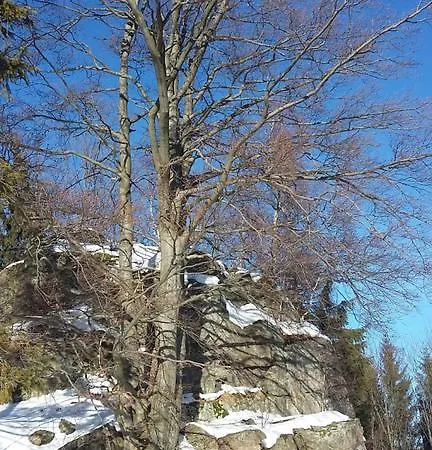 Appartement Silence Wichrowe Wzgorze *