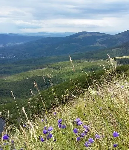 Silence Wichrowe Wzgorze アパート シクラルスカ・ポレンバ