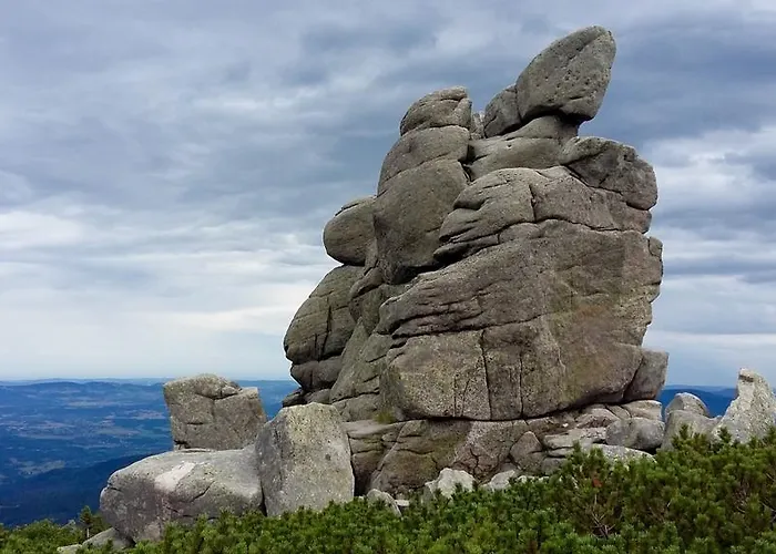 Silence Wichrowe Wzgorze シクラルスカ・ポレンバ