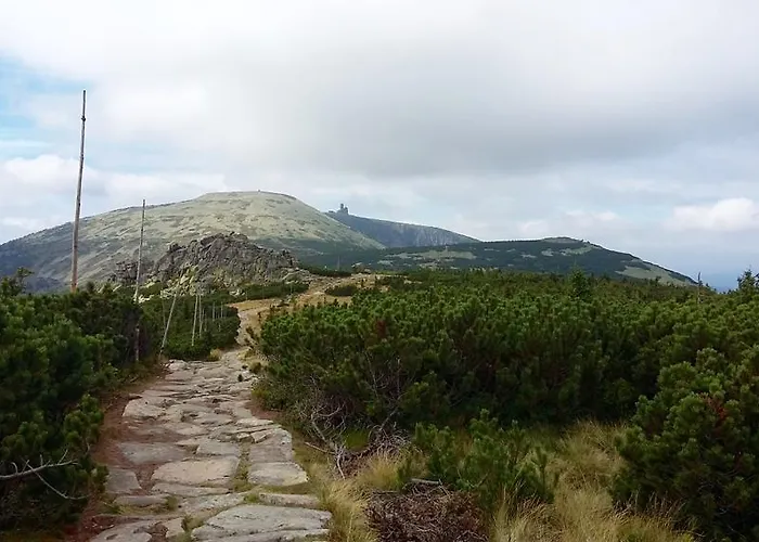 Silence Wichrowe Wzgorze