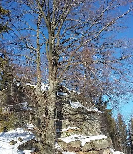 アパート Silence Wichrowe Wzgorze *