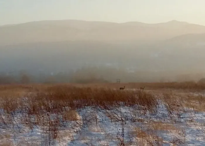 Silence Wichrowe Wzgorze シクラルスカ・ポレンバ