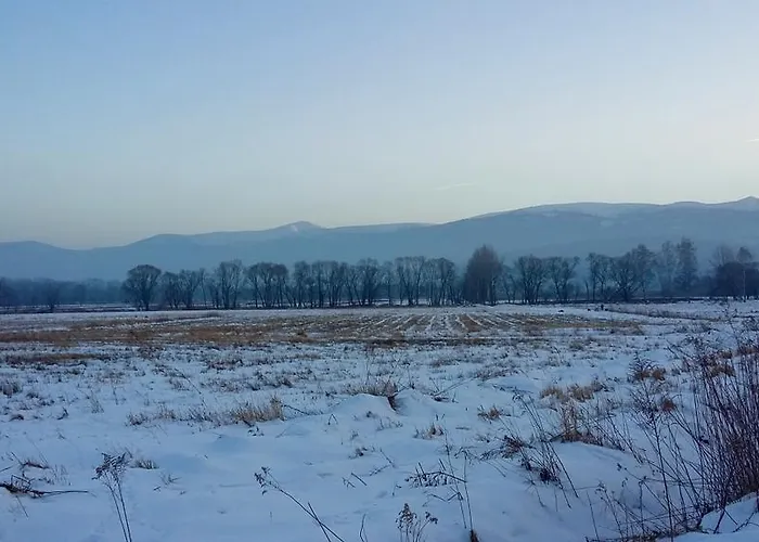 Silence Wichrowe Wzgorze アパート シクラルスカ・ポレンバ