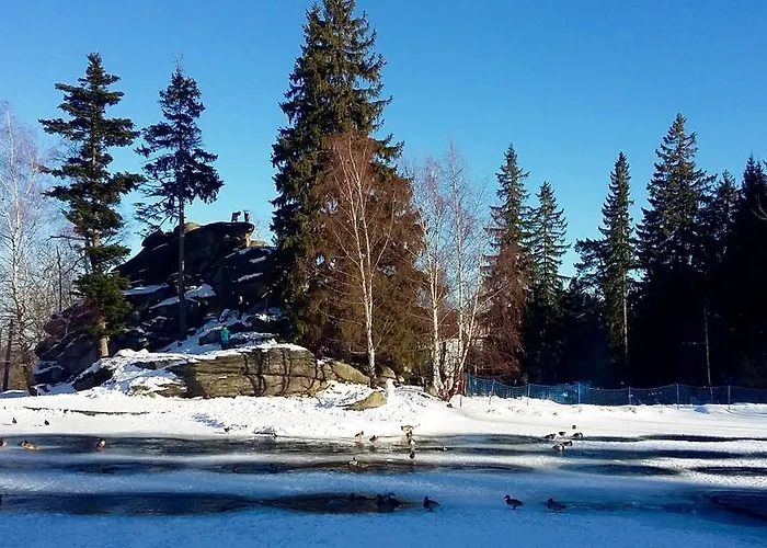 Silence Wichrowe Wzgorze シクラルスカ・ポレンバ