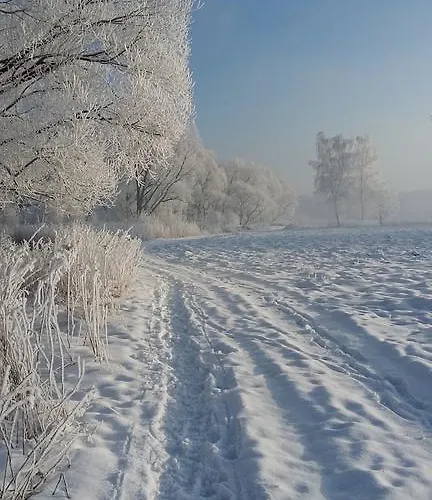 アパート Silence Wichrowe Wzgorze