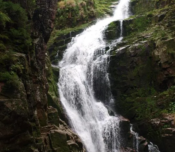 Silence Wichrowe Wzgorze アパート シクラルスカ・ポレンバ