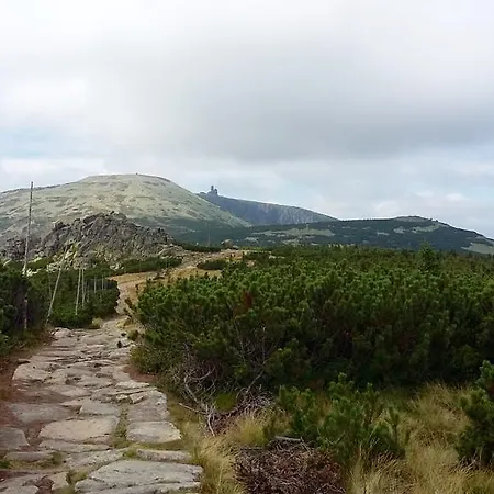 Silence Wichrowe Wzgorze