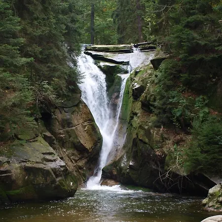 Silence Wichrowe Wzgorze *