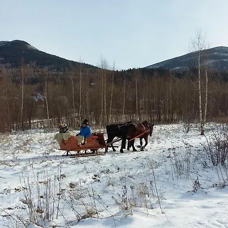Apartment Silence Wichrowe Wzgorze *