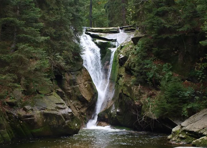 Silence Wichrowe Wzgorze *