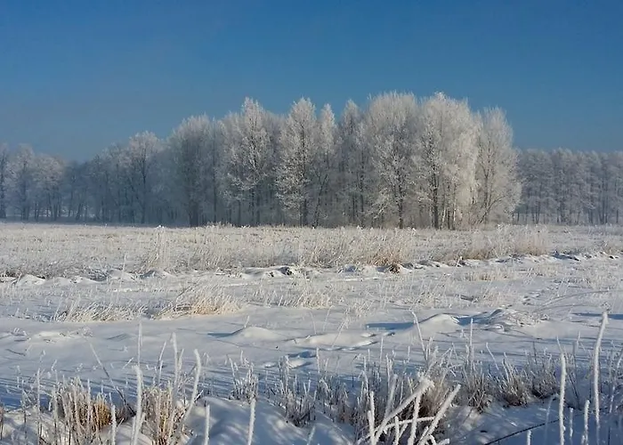 Silence Wichrowe Wzgorze Apartment Szklarska Poreba