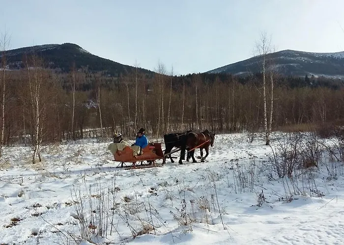 Apartment Silence Wichrowe Wzgorze *